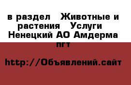  в раздел : Животные и растения » Услуги . Ненецкий АО,Амдерма пгт